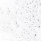 Bulgarian Rose Organic Mist